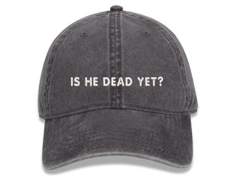 Gorra retro bordada "¿Ya murió?", gorra anti-Trump, camiseta anti-Trump sin sutileza, resistir y persistir, gorra antirracismo, gorra política