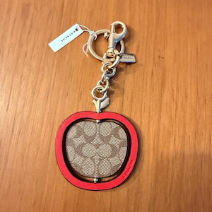 Coach Apple Charm Bag - Etsy