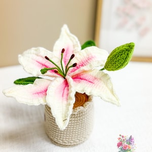 Peut inclure: Un lys blanc crocheté avec des pointes roses dans un pot beige crocheté. Le lys a des feuilles vertes et un bouton.