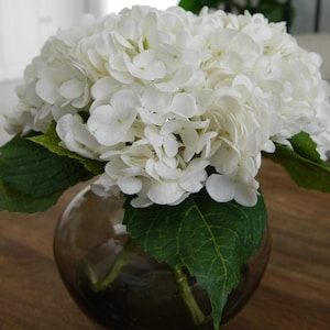 Könnte beinhalten: Ein Strauß weißer Hortensien in einer durchsichtigen Glasvase auf einem braunen Holzgrund.