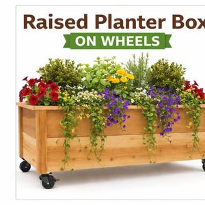 Cedar Raised Planter Box with Caster Wheels - Rolling Wooden Garden Bed for Patio, Balcony & Small Spaces - Mobile Garden Bed