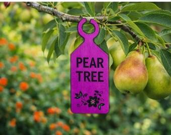 Colorful Garden Hang Tags - Wooden Plant Labels for Garden Centers, Nurseries & Professional Gardeners