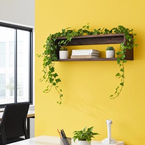 Easy-Mount Cedar Wood Cube Floating Shelf - Quick Install Wall Storage Box, Clip-On Clip-Off Design, Renter-Friendly Shelves Made in USA