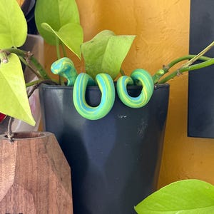 Peekaboo Plant Snake - Plant Art Decor for Homes and Offices - Indoor and Outdoor - Fun and Playful