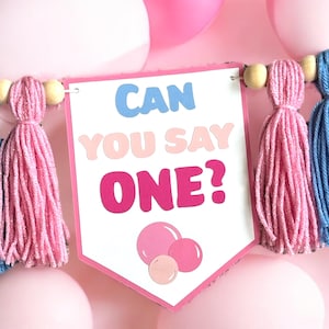 Ms. Rachel bubblegum highchair banner/Ms Rachel banner/First birthday banner/Can you say one/bubblegum banner/Ms Rachel decor