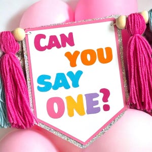 Can you say one highchair banner/Ms Rachel highchair banner/Rainbow Highchair banner/First birthday banner/bubblegum banner/Ms Rachel party