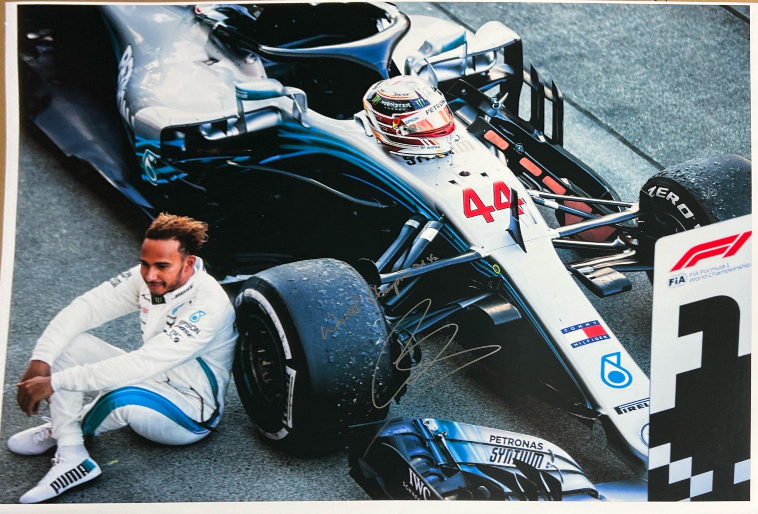 Découpe Taille Réelle Lewis Hamilton F1 - 174cm X 47cm - Corflute Pliable - Neuf