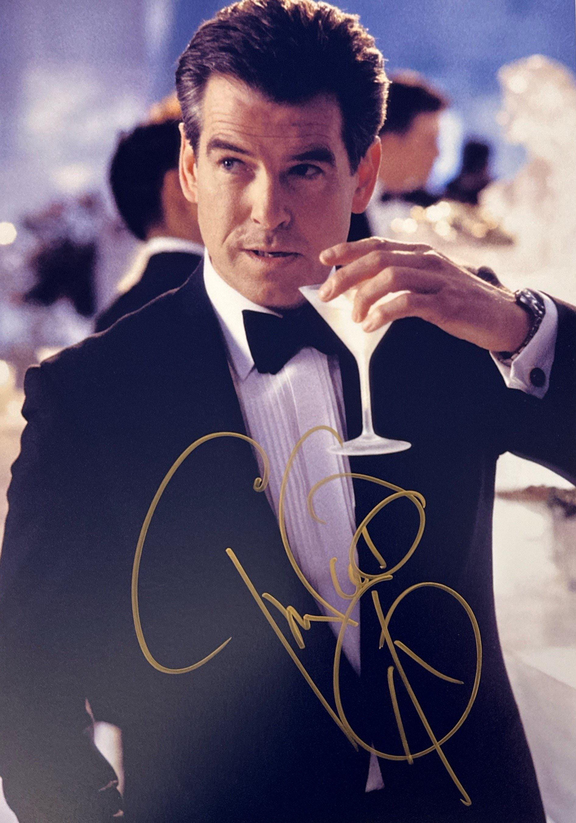 Pierce Brosnan Art - Etsy