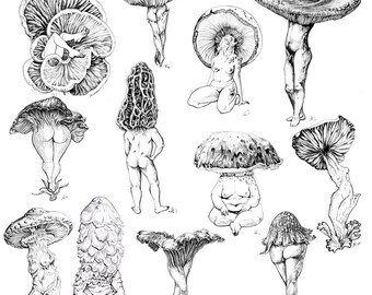 Featured image of post View 17 Cute Indie Mushroom Drawing