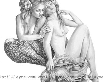 Dreamers- mermaid- Illustration- pencil art- April Alayne