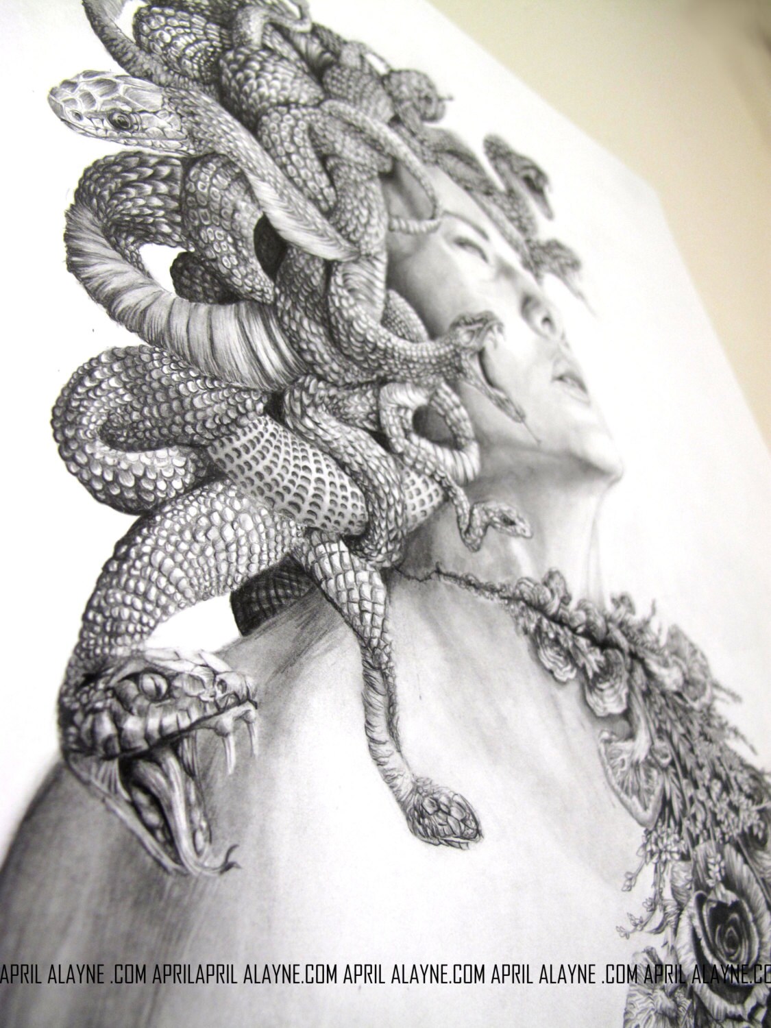Medusa Illustration Black and White 8 X10 Signed Print - Etsy