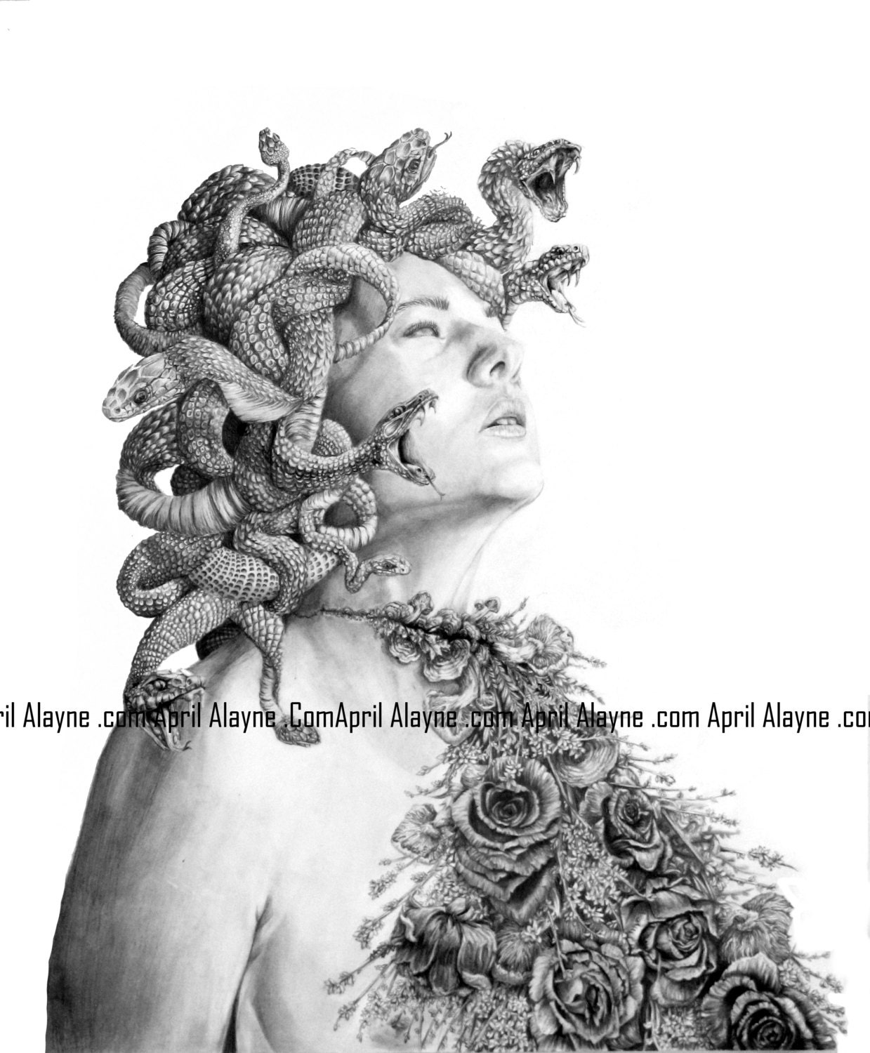 Medusa Illustration Black and White 8 X10 Signed Print - Etsy