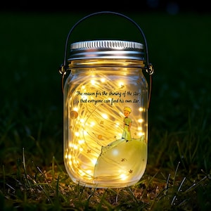 Solar Mason Jar Light,The Little Prince Night Light,Solar Powered Firefly Lamp,Graduation or Birthday Decor