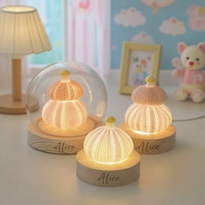 Custom Name Sea Urchin Shell Night Light,Handmade Ocean Theme Lamp for Kids Room or Nursery,Personalized Gift for Baby Shower or Birthday