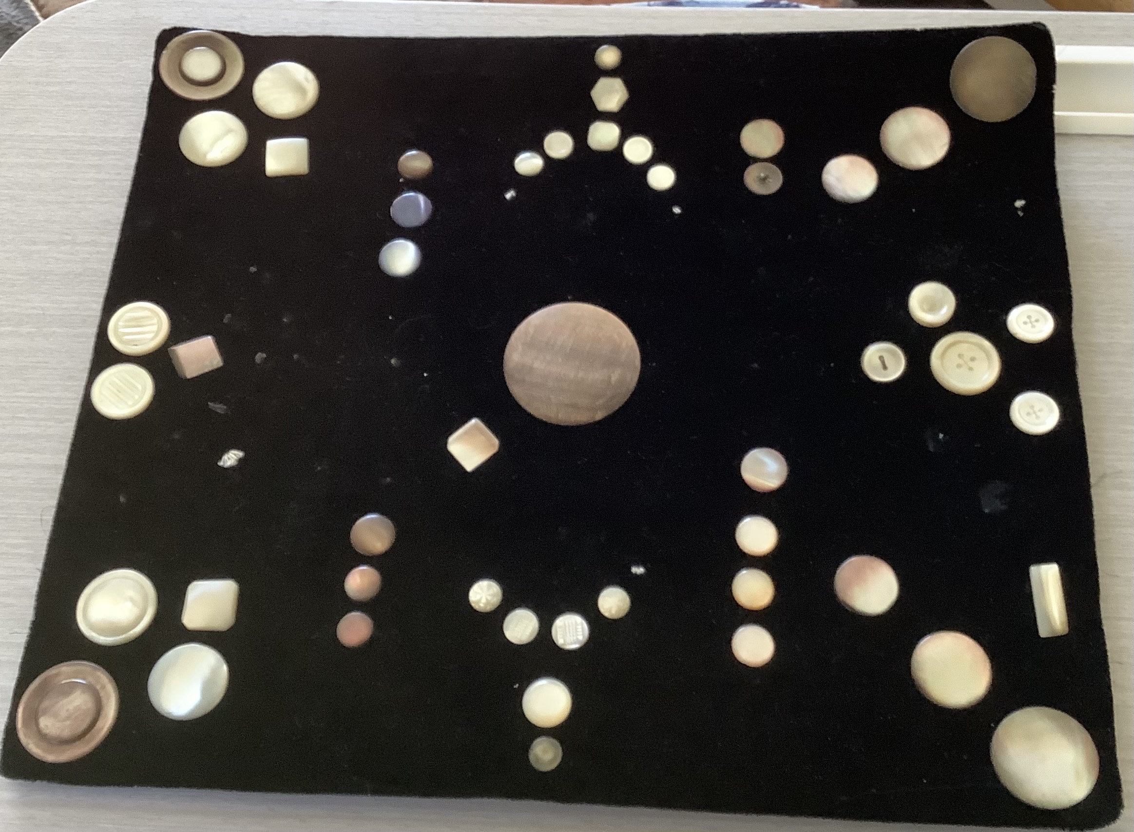Antique Shell Buttons 1905: Vintage Black Velvet Display - Etsy