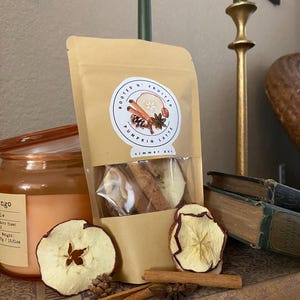 Può includere: Un sacchetto di carta marrone con l'etichetta "Rooted N' Fruited Pumpkin Latte Simmer Pot" con una finestra trasparente che mostra fette di mela essiccate e bastoncini di cannella. Fette di mela essiccate, bastoncini di cannella e anice stellato sono disposti intorno al sacchetto.