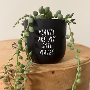 May include: A black ceramic planter with the text "Plants are my soil mates" in white lettering. A green succulent plant with trailing vines is growing in the planter.