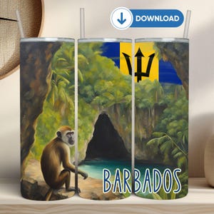 May include: A stainless steel tumbler with a colorful design featuring a monkey, a cave, a beach, and the flag of Barbados. The text "BARBADOS" is printed on the tumbler.