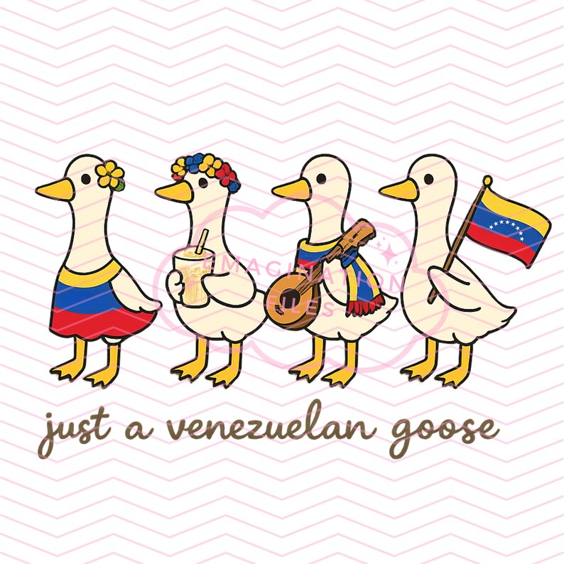 May include: Illustration of four cartoon geese, each adorned with Venezuelan-themed accessories. One goose wears a dress, another holds a drink, a third plays a mandolin, and the last carries a flag. The text reads "just a venezuelan goose."