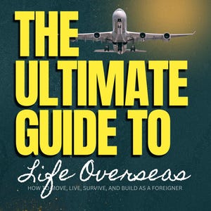 Könnte beinhalten: Buchcover mit dem Titel "THE ULTIMATE GUIDE TO Life Overseas" in gelben Buchstaben. Ein Flugzeug ist über dem Titel zentriert. Der Text "HOW TO MOVE, LIVE, SURVIVE, AND BUILD AS A FOREIGNER" steht darunter.