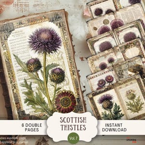 Peut inclure: Image d'un journal de style vintage et de plusieurs cartes avec des illustrations botaniques de chardons écossais. Le journal est ouvert, affichant une grande image de chardon. Les cartes sont disposées à droite. Le texte sur l'image indique "Scottish Thistles Vol. 7" et "6 Double Pages".