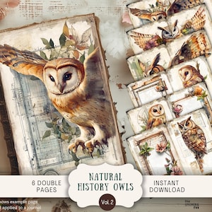Natuurlijke historie grillige uilen ongewenste dagboekpagina's 6 digitale plakboeken 11 x 8,5" kunst afdrukbare botanische natuur Victoriaanse vogels WHO2