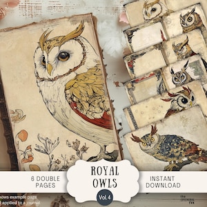 Hibou lunatique royal Junk Journal Pages 6 papiers de scrapbooking numérique 11 x 8,5" Art imprimable vintage steampunk mécanique guerrier guerrier OMS5