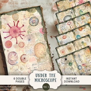 Páginas de diario basura bajo el microscopio, 6 páginas de álbum de recortes digitales, 11 x 8,5 pulgadas, diario imprimible con arte, efímeras, ciencia vintage, bacterias, naturaleza