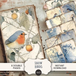 May include: A vintage-style journal and several decorative pages with a bird and branch design. The journal cover features a robin with blue, orange, and yellow hues. The text on the image reads "Snow Birds Vol 3" and "6 Double Pages".