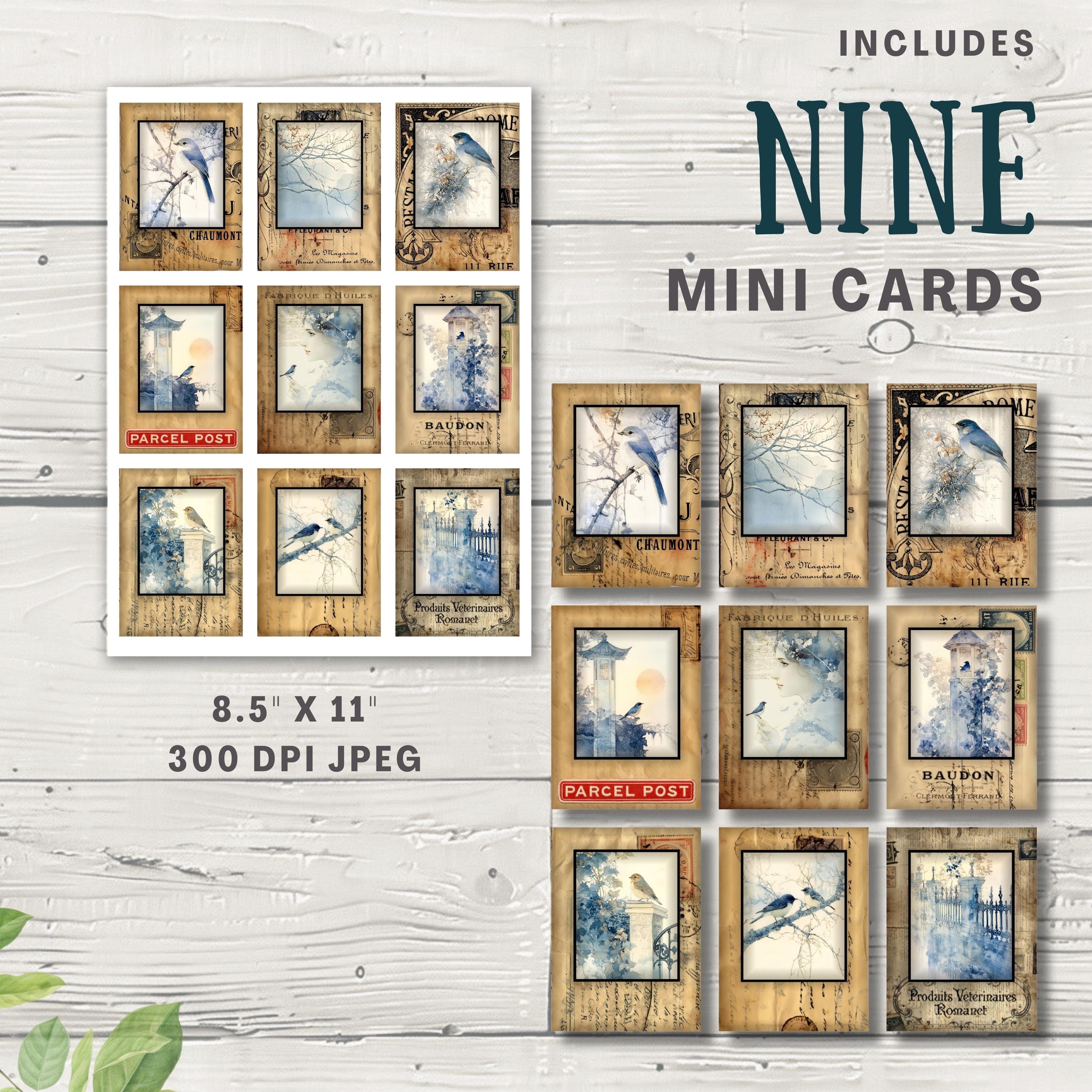 Snow Birds Junk Journal Ephemera Kit- Tags Tickets Envelopes ATC Cards ...
