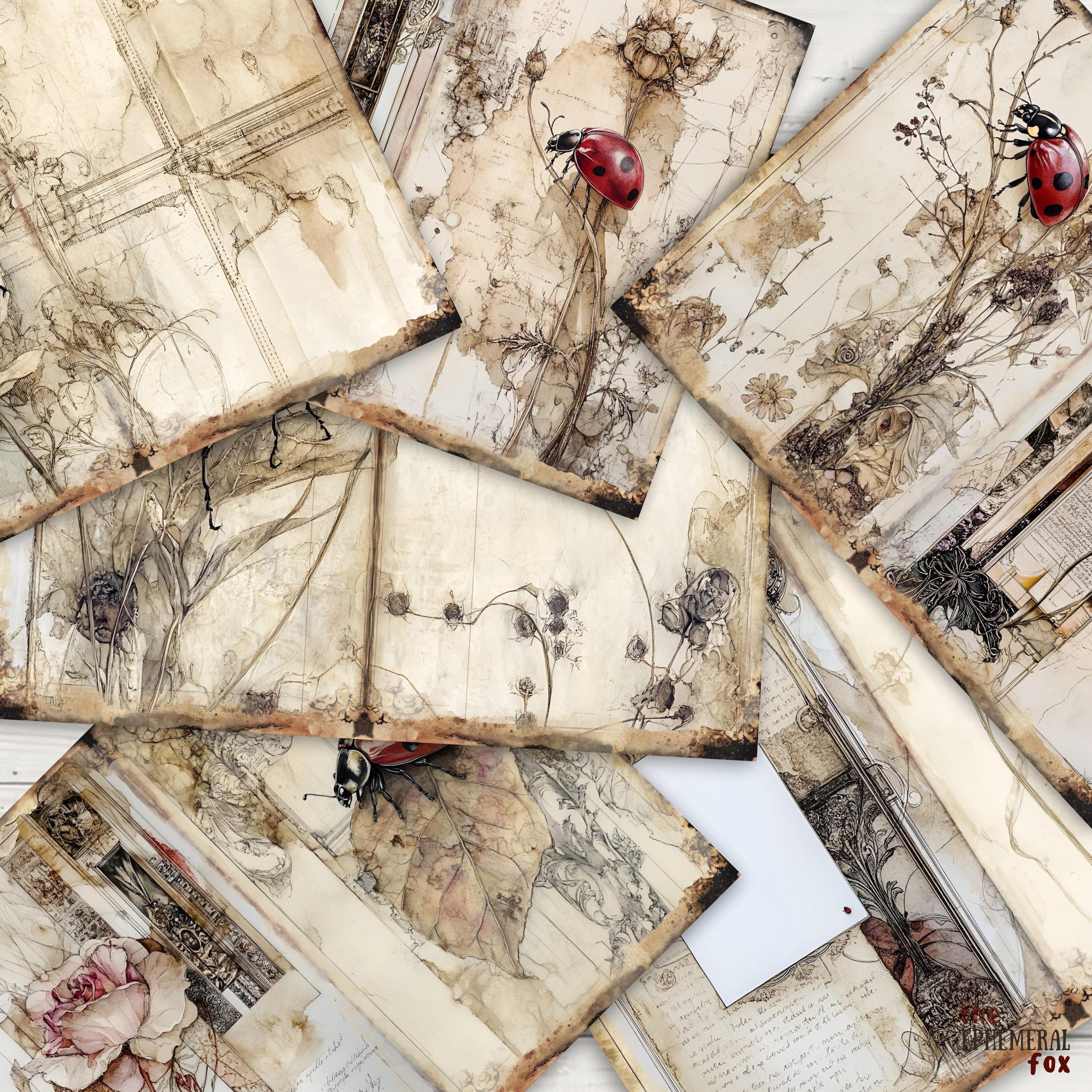 秋のてんとう虫ジャンクジャーナルページ6デジタルスクラップブック