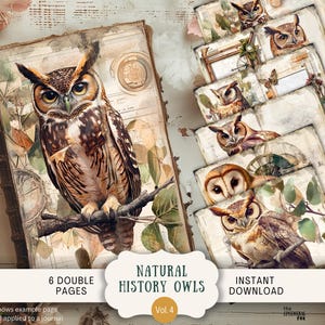 Natuurlijke historie grillige uilen ongewenste dagboekpagina's 6 digitale plakboeken 11 x 8,5" kunst afdrukbare botanische natuur Victoriaanse vogels WHO2