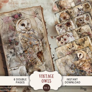 Vintage lunatique hibou Junk Journal Pages 6 papiers de scrapbooking numérique 11 x 8,5" grungy foncé neutre beige oiseaux hiboux forêt automne automne OMS1