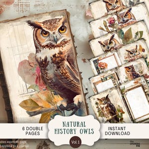 Natuurlijke historie grillige uilen ongewenste dagboekpagina's 6 digitale plakboeken 11 x 8,5" kunst afdrukbare botanische natuur Victoriaanse vogels WHO2