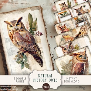Natuurlijke historie grillige uilen ongewenste dagboekpagina's 6 digitale plakboeken 11 x 8,5" kunst afdrukbare botanische natuur Victoriaanse vogels WHO2
