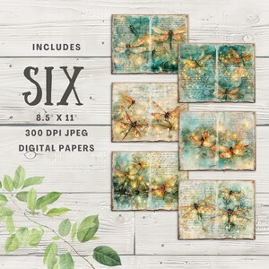May include: Six digital papers featuring a vintage book page background with delicate dragonfly illustrations and glowing lights. Each paper is 8.5 inches by 11 inches and 300 DPI.