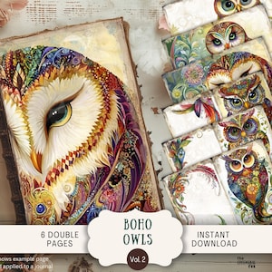 Boho Whimsical Owls Junk Journal Pages 6 papéis de scrapbook digital 11 x 8,5" arte para impressão vintage Boho pássaros arco-íris penas WHO6