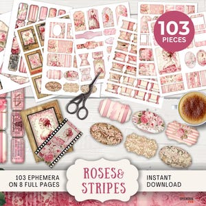 Kit de itens de lixo de diário vintage com rosas e listras - Etiquetas, ingressos, mini-envelopes, mini-cartões, etiquetas, tiras de filme, molduras e abas, rosa ROST
