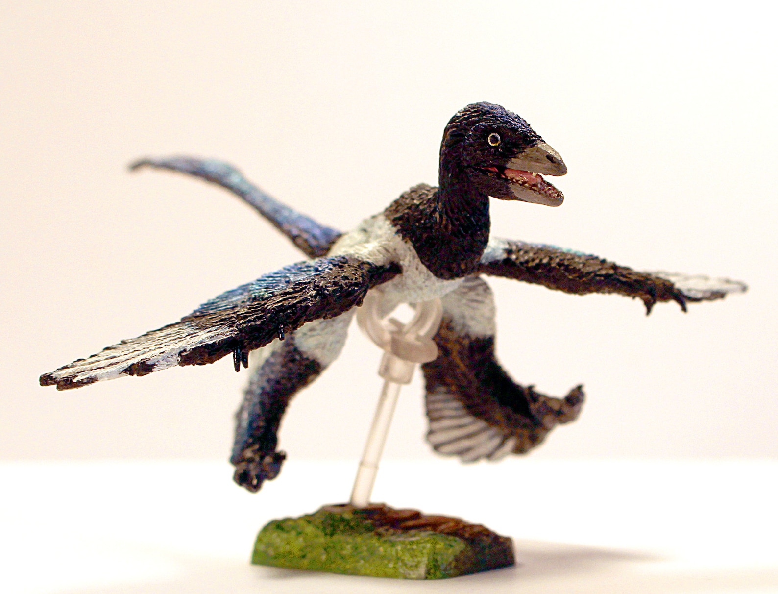 Микрораптор. Beasts of the mesozoic raptor микрораптор. beast of the mesozoic микрораптор. анхиорнис микрораптор скелет. самый маленький динозавр микрораптор.