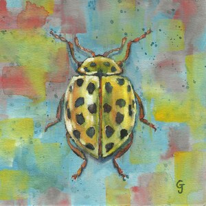 Könnte beinhalten: Ein Aquarellbild eines gelben und schwarzen Marienkäfers auf blauem und grünem Hintergrund.