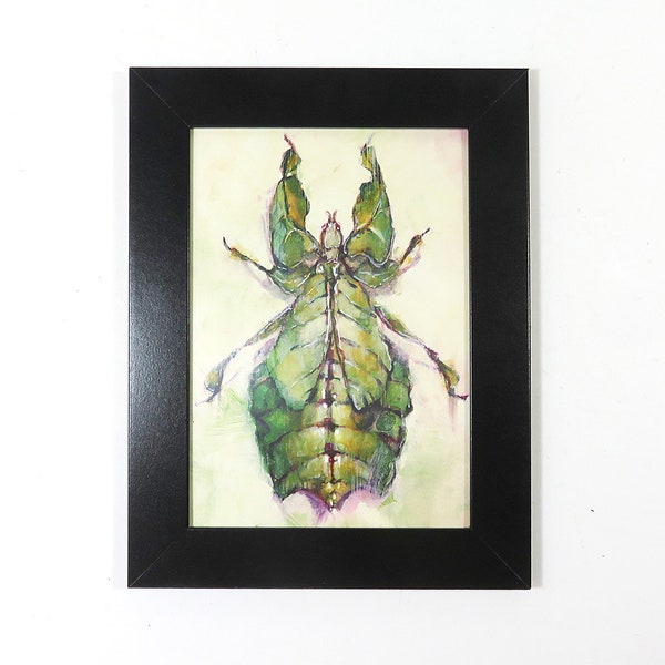 Leaf Bug Insect Green Specimen Phyllium Pulchrifolium Garden Art Print Framed Natural Animal Illustration Leaf Bug Gift Home Office Decor