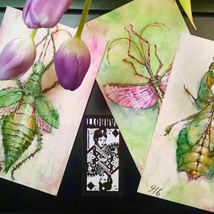 3 Collectible Leaf Bug Insect Specimen Pink Green 5&quot; x 7&quot; Cards Digital Print Gardening Art Home Office Wall Decor Natural Science Botanical