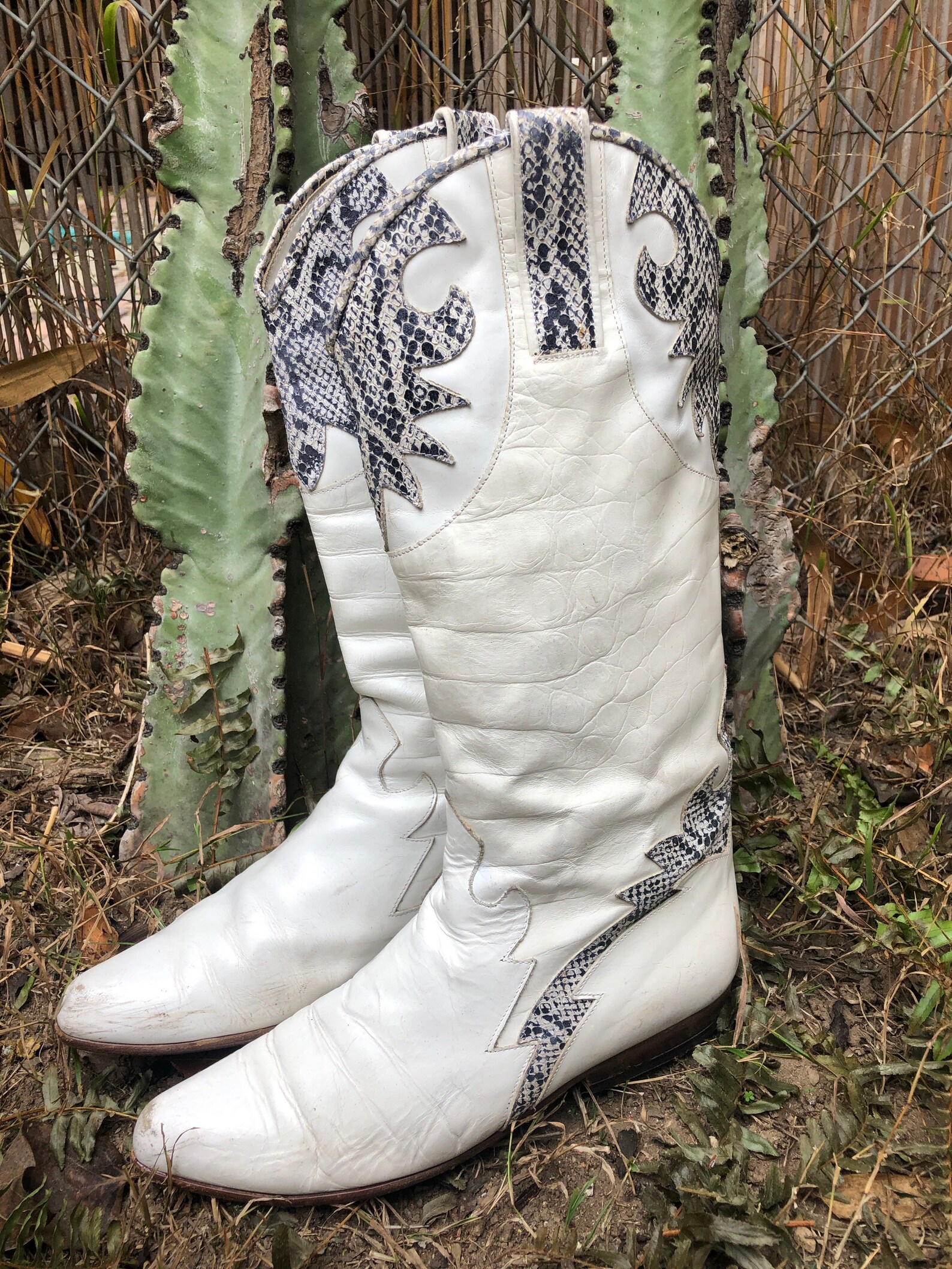 charles david snakeskin booties