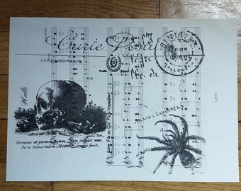 NEW creepy halloween carte postale skull spider on vintage sheet music