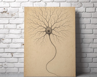 Impresión en lienzo de neuronas - Arte mural científico vintage - Elegante dibujo de células cerebrales - Decoración minimalista de neurociencia para oficina o estudio