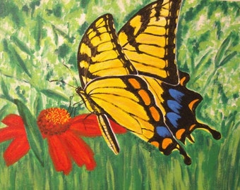 Yellow and Black Butterfly on Red Flower