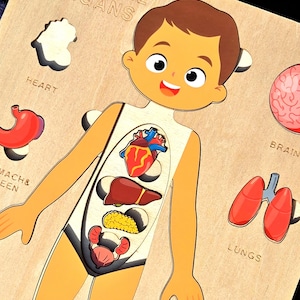 Puzzle Montessori sul corpo umano per bambini / Impara l&#39;anatomia umana / Organi interni per bambini piccoli / Regalo di compleanno per bambini in età prescolare di 3, 4, 5 e 6 anni