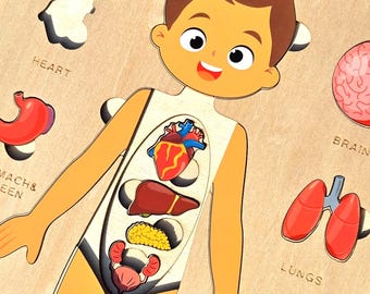 May include: A wooden puzzle featuring a cartoon illustration of a person with removable pieces representing internal organs, including the heart, lungs, stomach, brain, and liver. The puzzle pieces are colorfully illustrated and labeled with the names of the organs.