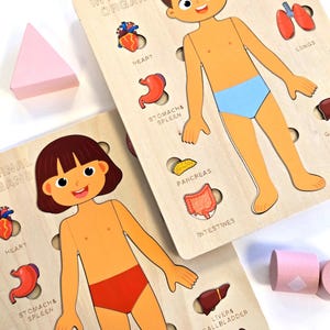 Montessori Human Body Educational Kids Puzzle | Learn Anatomy Internal Organs | Wooden puzzle | Preschool 3 4 5 6 years old birthday gift