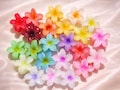 Hibiscus Flower Claw Clips, Plumeria Flowers Claw Clips, Flower Clips
